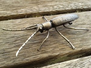 resized spiny longhorn beetle