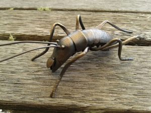 resized tree weta